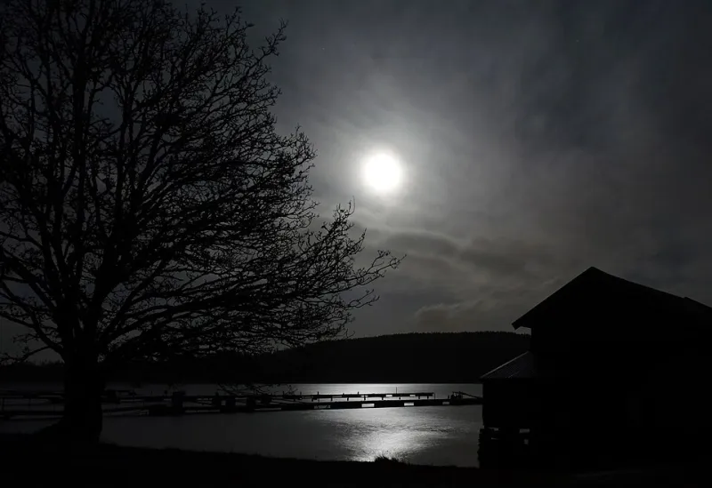 Luna Piena, Corpo Sveglio: Come le Fasi Lunari Influenzano Davvero il Tuo Benessere